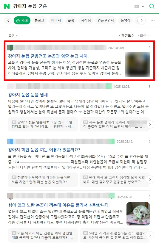 강아지 눈꼽 굳음 카페탭 검색결과 최상단 노출 캡처
